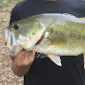 Meet your Posher, Rogen